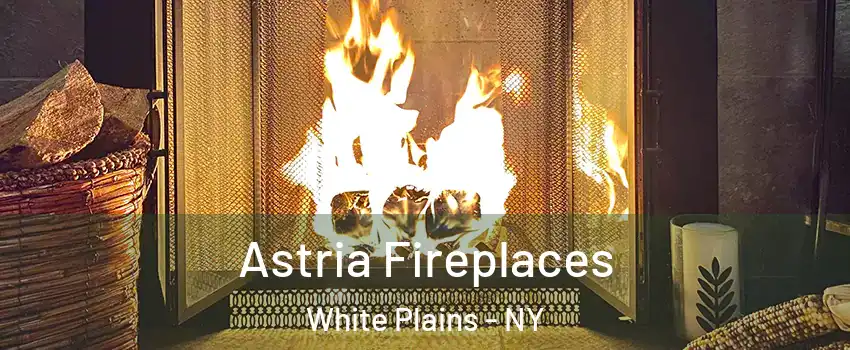  Astria Fireplaces White Plains - NY