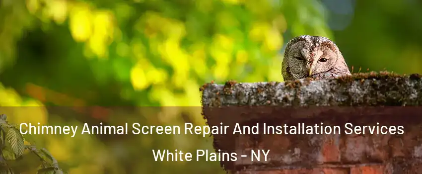  Chimney Animal Screen Repair And Installation Services White Plains - NY