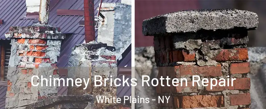  Chimney Bricks Rotten Repair White Plains - NY