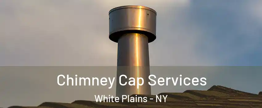  Chimney Cap Services White Plains - NY