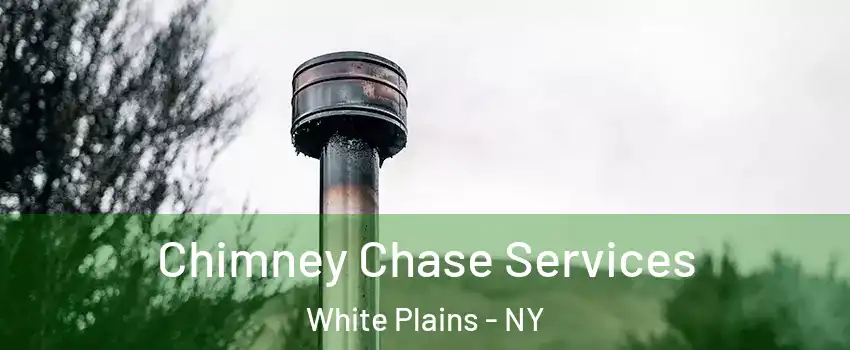  Chimney Chase Services White Plains - NY