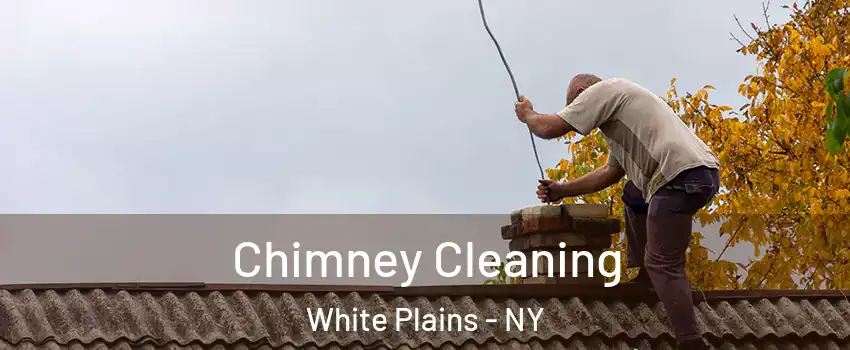  Chimney Cleaning White Plains - NY