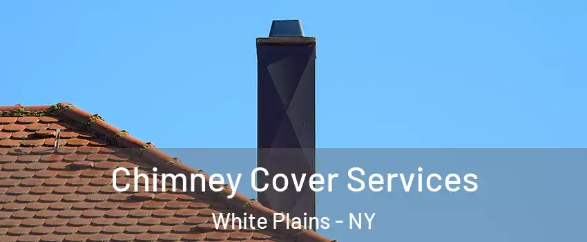  Chimney Cover Services White Plains - NY