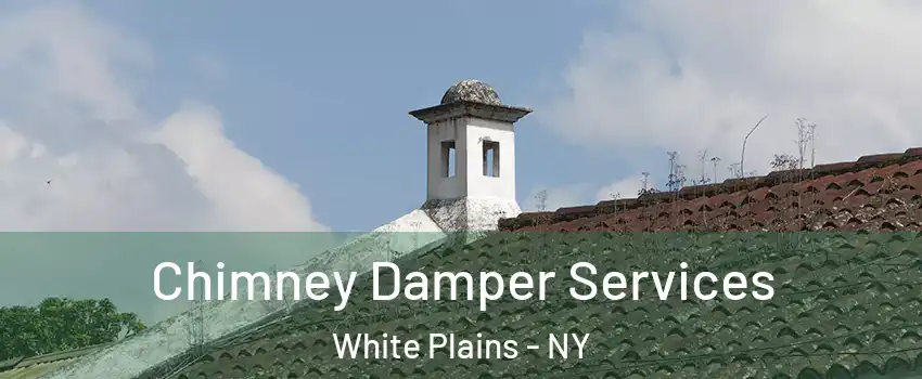  Chimney Damper Services White Plains - NY