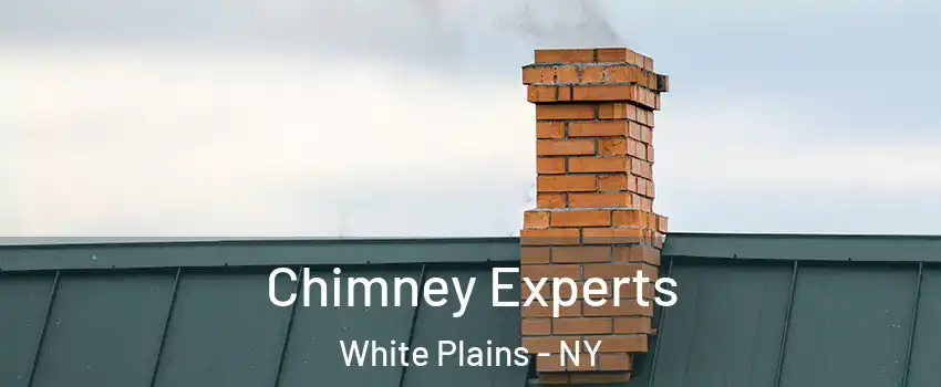 Chimney Experts White Plains - NY