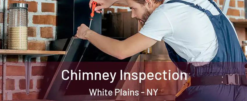  Chimney Inspection White Plains - NY