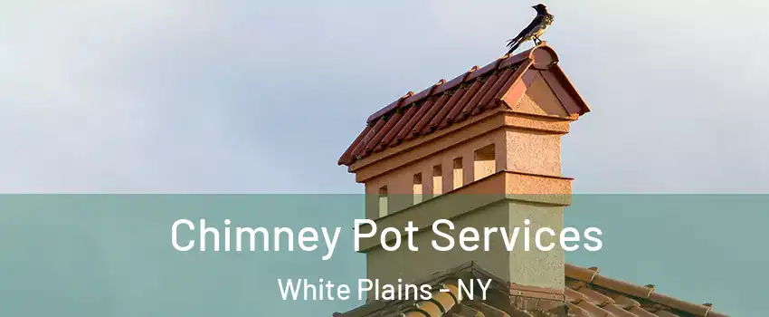  Chimney Pot Services White Plains - NY