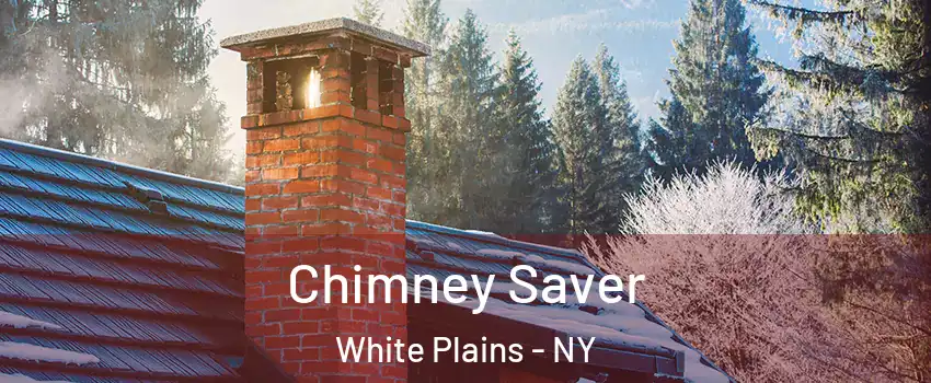  Chimney Saver White Plains - NY