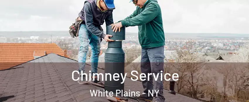 Chimney Service White Plains - NY
