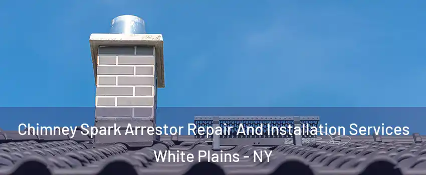  Chimney Spark Arrestor Repair And Installation Services White Plains - NY