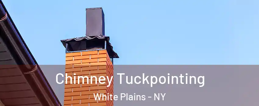  Chimney Tuckpointing White Plains - NY
