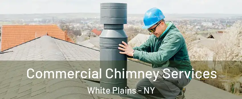  Commercial Chimney Services White Plains - NY