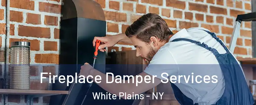  Fireplace Damper Services White Plains - NY