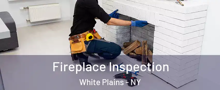  Fireplace Inspection White Plains - NY