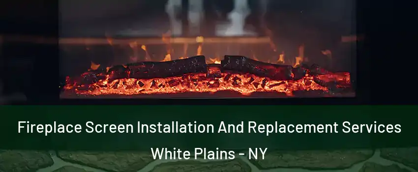  Fireplace Screen Installation And Replacement Services White Plains - NY