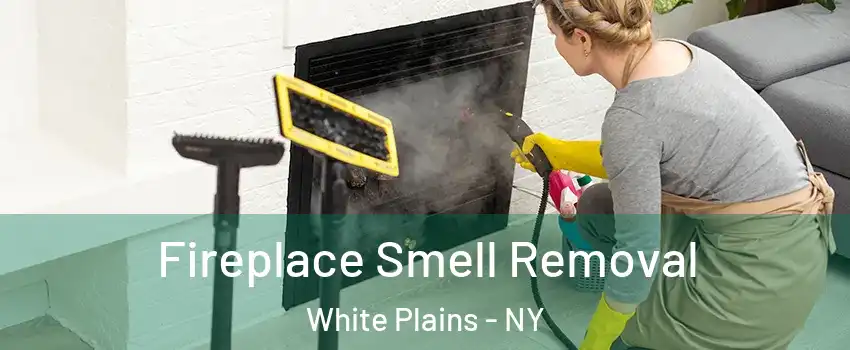  Fireplace Smell Removal White Plains - NY