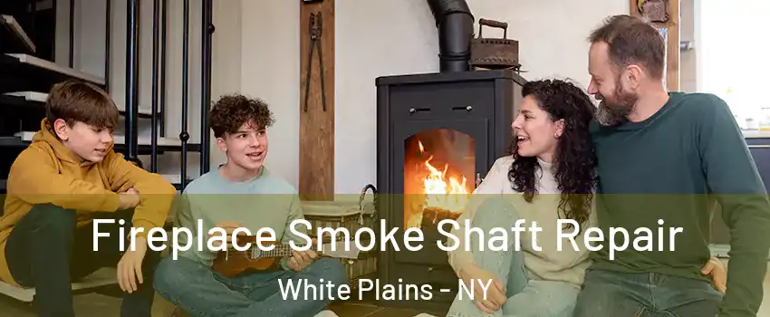  Fireplace Smoke Shaft Repair White Plains - NY