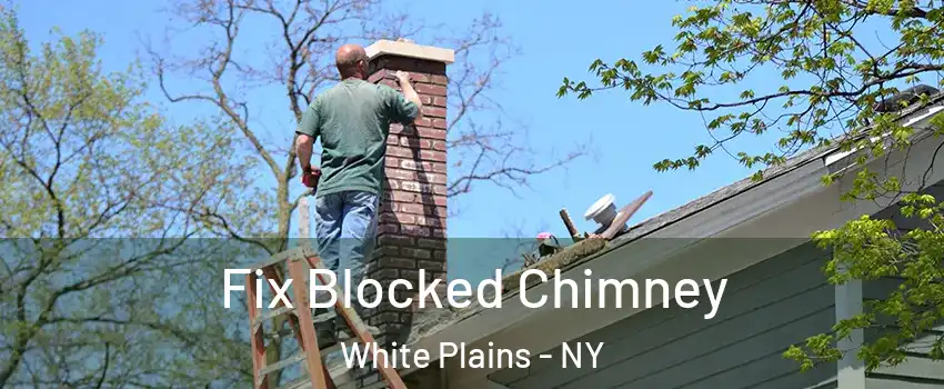  Fix Blocked Chimney White Plains - NY