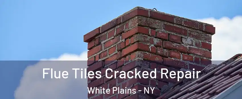 Flue Tiles Cracked Repair White Plains - NY