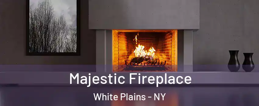  Majestic Fireplace White Plains - NY