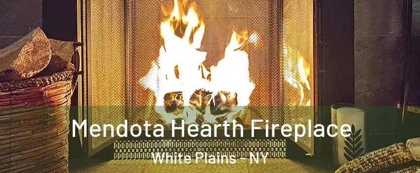  Mendota Hearth Fireplace White Plains - NY