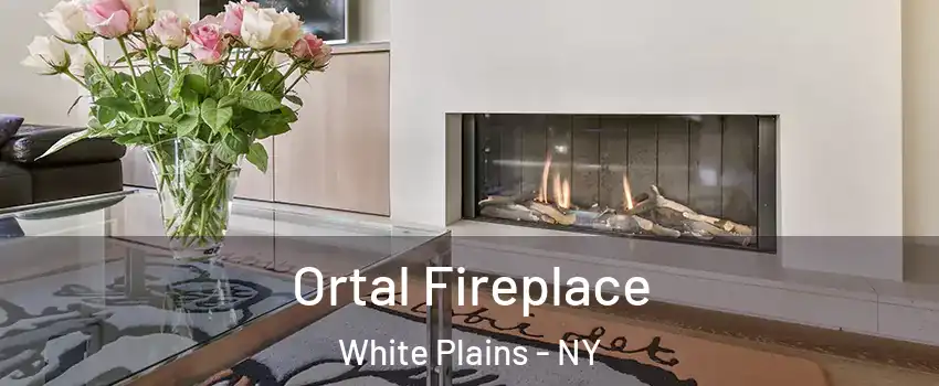 Ortal Fireplace White Plains - NY