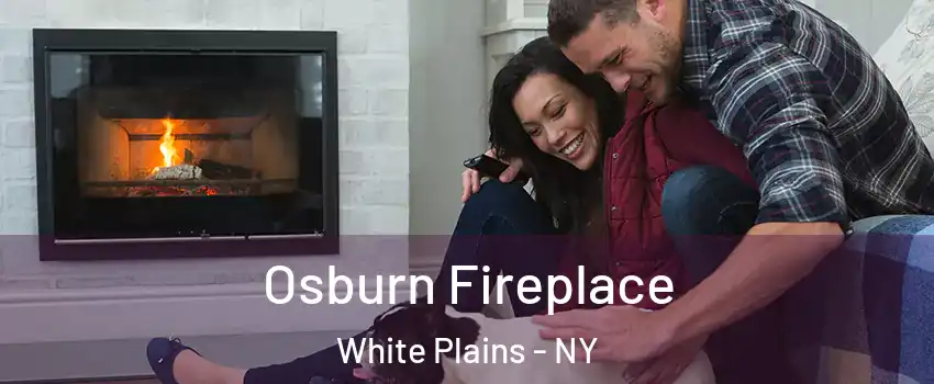  Osburn Fireplace White Plains - NY