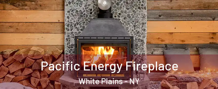  Pacific Energy Fireplace White Plains - NY