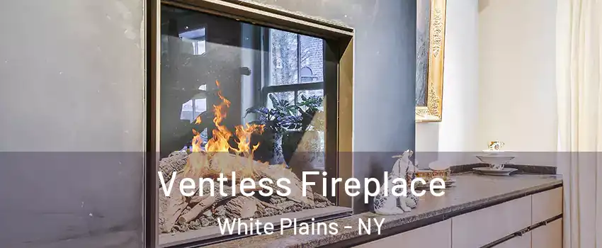  Ventless Fireplace White Plains - NY